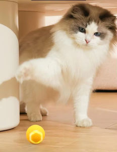 Jouet balle automatique <span class=keywords><strong>pour</strong></span> chat à la mode interactif en plastique et silicone jouets <span class=keywords><strong>pour</strong></span> animaux de compagnie <span class=keywords><strong>pour</strong></span> <span class=keywords><strong>chats</strong></span> et chiens personnalisable marque privée - Product Image 3