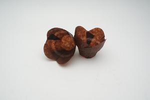 150*150*50MM Household Brown Mini Baking Lotus Muffin <strong>Cupcake</strong> Liners <strong>Case</strong> - Product Image 4