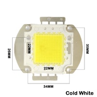 Perles de lampe à puce LED COB 100W/200W avec blanc froid/blanc chaud/blanc froid et blanc chaud 2IN1For éclairage de scène