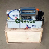 Best Verkopende Automatische Kwartel Eierschiller Middelgrote Machine Voor Het Schillen Van Gekookte Kwarteleitjes Voor Bakkerijen En Wijnmakerijen