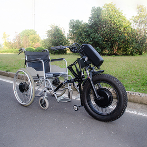 Kit di conversione per sedia a rotelle elettrica 48V 1200W, Handbike 20*4.0 48V 13Ah con pneumatici larghi, Disponibile in magazzino, Componenti per biciclette elettriche - Product Image 1