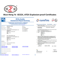 Chauffe-eau immergé antidéflagrant sur mesure 80 kW avec gaine en SS316L pour réservoir d'huile, cuve de stockage de gaz et chauffage de process pétrochimiques
