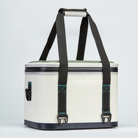 Sacs isothermes pour le déjeuner, boîtes à glace portables, sacs isothermes souples imperméables pour une utilisation quotidienne