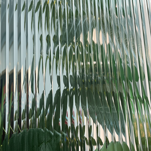 Vidrio Moru Vidrio estampado 10mm Puerta decorativa Vidrio acanalado templado ChangHong Caña - Product Image 1