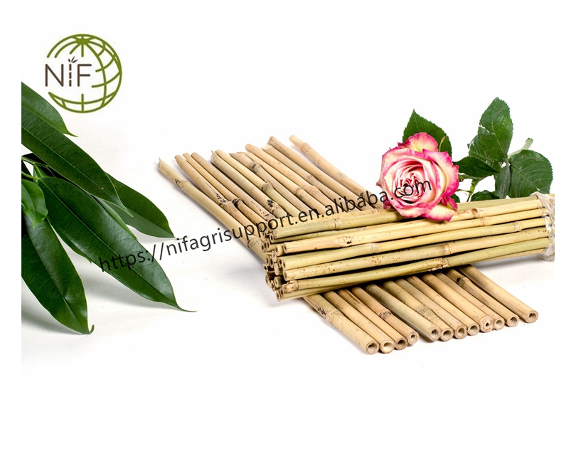 Лучшая цена, превосходное качество, держатель для тростника tonkin, бамбуковые палочки