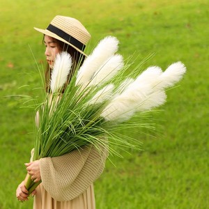 Artificial Reed Foxtail Grass Bunch 30cm-100cm Silk Flower High Simulation Indoor Decoration Nordic Style Prop - Product Image 1