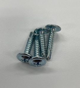 Vis autoperceuses M4.8 x 25 mm à tête profilée modifiée, zinguées CR3+, vis pour charpente en acier, acier au carbone C1022, Homn Reen - Product Image 5
