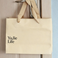 Sacs en papier de luxe en gros pour cadeaux, emballages personnalisés pour bijoux et cosmétiques, sacs en papier avec rubans et poignées
