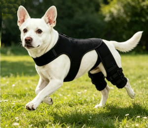 Rodillera Rectangular Ajustable para Perros, Soporte para Lesiones de LCA en Patas Traseras con Tira Reflectante para Uso en Exteriores - Product Image 4