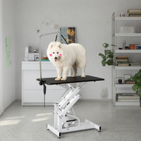 Table d'opération électrique pliable professionnelle en acier inoxydable écologique pour vétérinaires avec recharge USB – Offre Spéciale