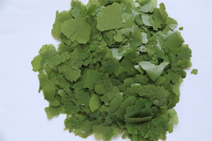 Flocons de nourriture de haute qualité pour petits poissons tropicaux de Chine, pour reptiles, bienfaits pour la santé de la peau et du pelage, protéines à base de légumes, pour toutes les phases de vie - Product Image 5
