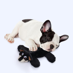 Üretici interaktif çiğnemek dayanıklı köpek oyuncaklar Molar egzersiz Pet malzemeleri deri kabuk hayvan peluş oyuncak köpek - Product Image 2