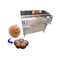 Machine à éplucher la peau de noix de coco entièrement automatique de grande capacité