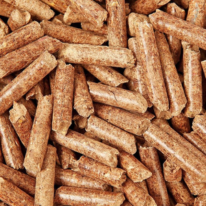 Máquina de fabricación de pellets de biomasa de matriz plana, línea de producción de pellets de aserrín, paja y cáscaras de arroz - Product Image 3