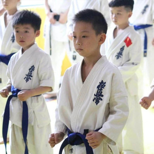 Uniforme de karaté durable et personnalisable, vêtements de sport de karaté Kyokushin pour adultes et enfants, costume d'arts martiaux avec marque OEM - Product Image 3