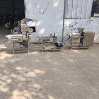 1000Kg Per Uur Industriële Commerciële Koude Pers Schroef Kokosmelk Extractor Gember Vruchtensap Juicer Afzuigmachine Machine