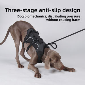 สายจูง<span class=keywords><strong>สุนัข</strong></span>แบบมีหูจับ สะท้อนแสงสำหรับใช้งานกลางแจ้ง <span class=keywords><strong>พ</strong></span>ร้อมช่องใส่ติดตั้งอุปกรณ์ระบุตำแหน่ง ไม่รั้ง ปรับได้ แบบเสื้อกั๊กยุทธวิธีสำหรับสัตว์เลี้ยง - Product Image 2