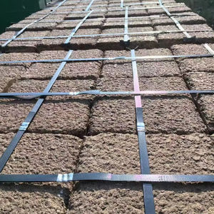 Dalles de granit jaune naturel vieilli en gros pour pavage de jardin de ville ancienne - Product Image 2