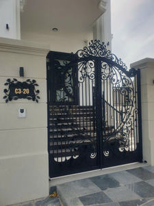 Puerta de Hierro de Alta Calidad con Asistencia Técnica en Línea y Diseño Francés, Puerta de Hierro Forjado - Product Image 2