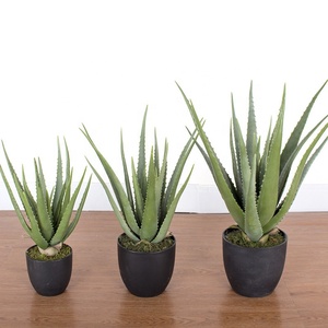 Árboles artificiales decorativos viajero plátano monstera plantas verdes simuladas plantas Anthurium árbol de plantas simuladas - Product Image 3