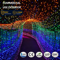Nouvelles lumières de Noël LED commerciales extérieures 24V, design IP65, 50000H, multicolores, 8 modes, clignotement régulier, sans scintillement