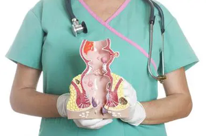 Láser de diodo portátil miniinvasivo de 980nm/1470nm con refrigeración por aire para cirugía proctológica, <span class=keywords><strong>hemorroides</strong></span>, fístula anal y seno pilonidal - Product Image 5
