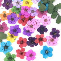 Fiori Naturali Pressati per Nail Art 3D, Decorazioni Metalliche Fai-da-Te, Logo Personalizzato, Fiori Veri Essiccati per Unghie