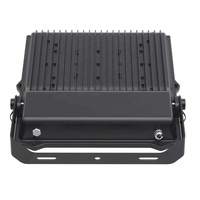 Projecteur Led IP66 10W/20W/30W/50W/70W/100W/150W/200W projecteur de stade extérieur