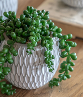 3 Pièces de Petites Plantes Succulentes Artificielles Naturelles avec Pots en Céramique pour Décoration de Bureau et de Maison - Ensembles de Plantes en Pot Artificielles