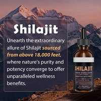 Ventes directes d'usine Capsules d'extrait de Shilajit Supplément de Shilajit avec Ashwagandha Ginseng Saw Palmetto Shilajit Capsule