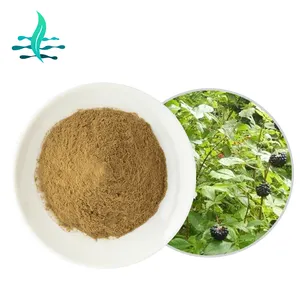 Natuurlijke Siberische Ginseng Extract 0.8% B + E -1.5% B + E Ginsenosides Poeder