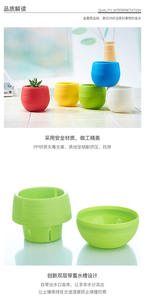 Vaso Rotondo in Plastica <span class=keywords><strong>per</strong></span> <span class=keywords><strong>Semi</strong></span> di Cactus, Vaso <span class=keywords><strong>per</strong></span> Piante Succulente con Fori di Drenaggio, Fioriera Bianca - Product Image 3