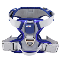 Nouveau Harnais LED Coréen Personnalisé 2026 pour Chien, Gilet Réglable pour Petits Animaux, Harnais Lumineux pour Chiot OEM Marque Privée pour Teddy