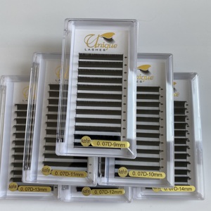Extensions de <span class=keywords><strong>cils</strong></span> en camélia L M LC LD LB C D CC DD Curl 0.03 0.05 0.07mm en PBT coréen, naturelles, douces, faites à la main, pour un volume accru - Product Image 2