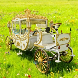 Fabricant de calèches de luxe en platine, calèches électriques pour mariages, calèches électriques sans chevaux pour le tourisme - Product Image 1