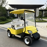 Voiturette de golf électrique 2 places au lithium pour hôtels et zones touristiques, véhicule de navettage, fabrication OEM/ODM, approvisionnement en gros, exportation