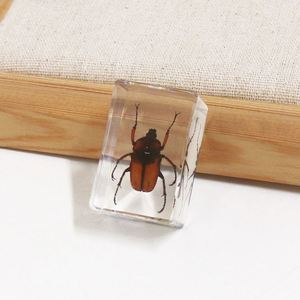 Transparent Acrylic Handmade Resin Crafts <b>Crystal</b> Paperweights Resin Craft for School Teaching - Product Image 6