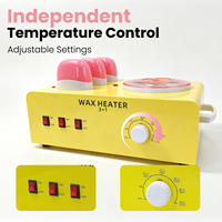 Chauffe-cire 3-en-1 200W, pot de 500ml, 3 cartouches de 100ml, interrupteur indépendant, contrôle de la température, pour épilation en salon, OEM ODM