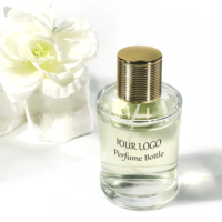 Bouteille de parfum de pulvérisation de brouillard d'huile essentielle de haute qualité boîte d'emballage de cosmétiques transparents bouteille de parfum vide 100ml