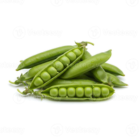 Graines de pois de qualité supérieure, pureté 99%, germination 85%, marque Moon Star, origine Pakistan, pour l'agriculture commerciale