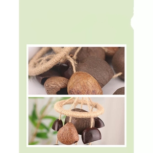 Wholesale Handmade Natural Fruit Shell <b>Wind</b> <b>Chime</b> Hemp Rope Ring For Rustic Botanical Handicraft Souvenir - Product Image 2