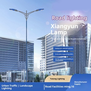 Lampioni Stradali LED per Esterni IP65 Impermeabili, Nuovi Lampioni Urbani a Braccio Singolo ad Asta Alta per Aree Rurali - Product Image 2