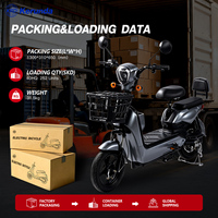 Vélo électrique urbain 48V, panier avant, siège double confortable, service personnalisé OEM et ODM