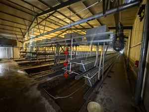 Jaulas de 3 niveles tipo A para pequeñas granjas avícolas - Product Image 5