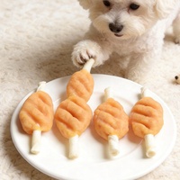 Friandises pour animaux de compagnie en gros : Ailes de poulet sur brochettes pour chiens – Fabricant OEM – Populaire, personnalisable, très demandé