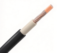 Câble de stockage d'énergie de batterie basse tension flexible en cuivre EPR HOFR Zhongkai 0361TQ BS 638 25mm²