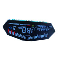 Brillanter TN-Negativ-Display-Segment-LCD-Bildschirm mit schwarzem Rahmen und Siebdruck für Autoradio-Bedienfeld
