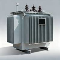 Transformateur de distribution immergé dans l'huile TSTYNICE 800 KVA 13200/7200V Dyn11 FR3 monophasé/triphasé 50/60Hz CE 440V