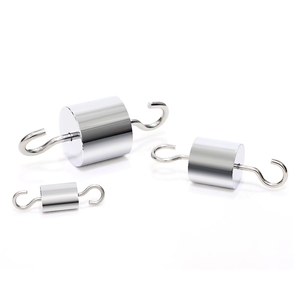 Pesas de Calibración Veidt OIML F2 M1 para Balanzas Industriales de Acero Inoxidable, Pesas de Doble Gancho para Balanzas Impermeables OIML F - Product Image 3