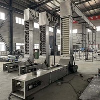 Trasportatore a Nastro Inclinato Personalizzato a Forma di Z, Elevatore a Benna/Trasportatore Verticale per Alimenti/Mangimi/Prodotti Chimici